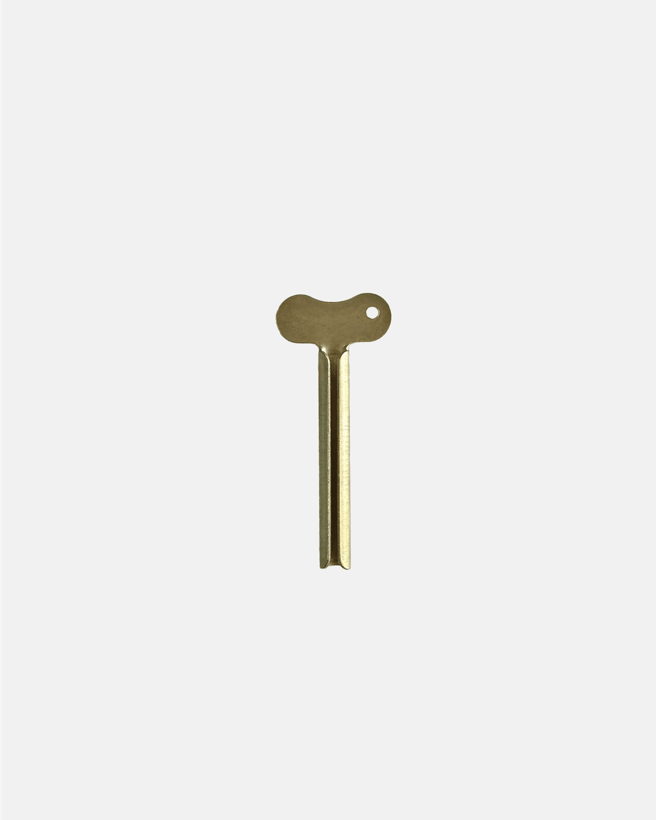 Brass Tube Key Grown Alchemist