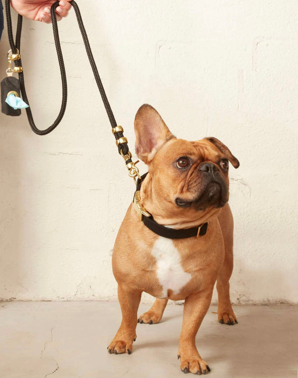 Marine Rope Dog Leash | Onyx The Foggy Dog