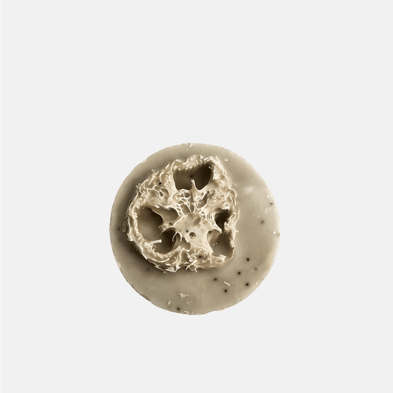 Mint Loofah Soap The Ash House Soap Studio