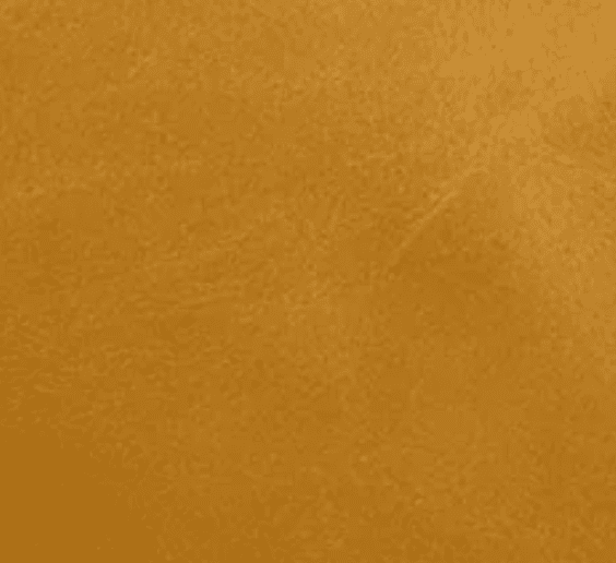 BB Voyager – Blair Ritchey